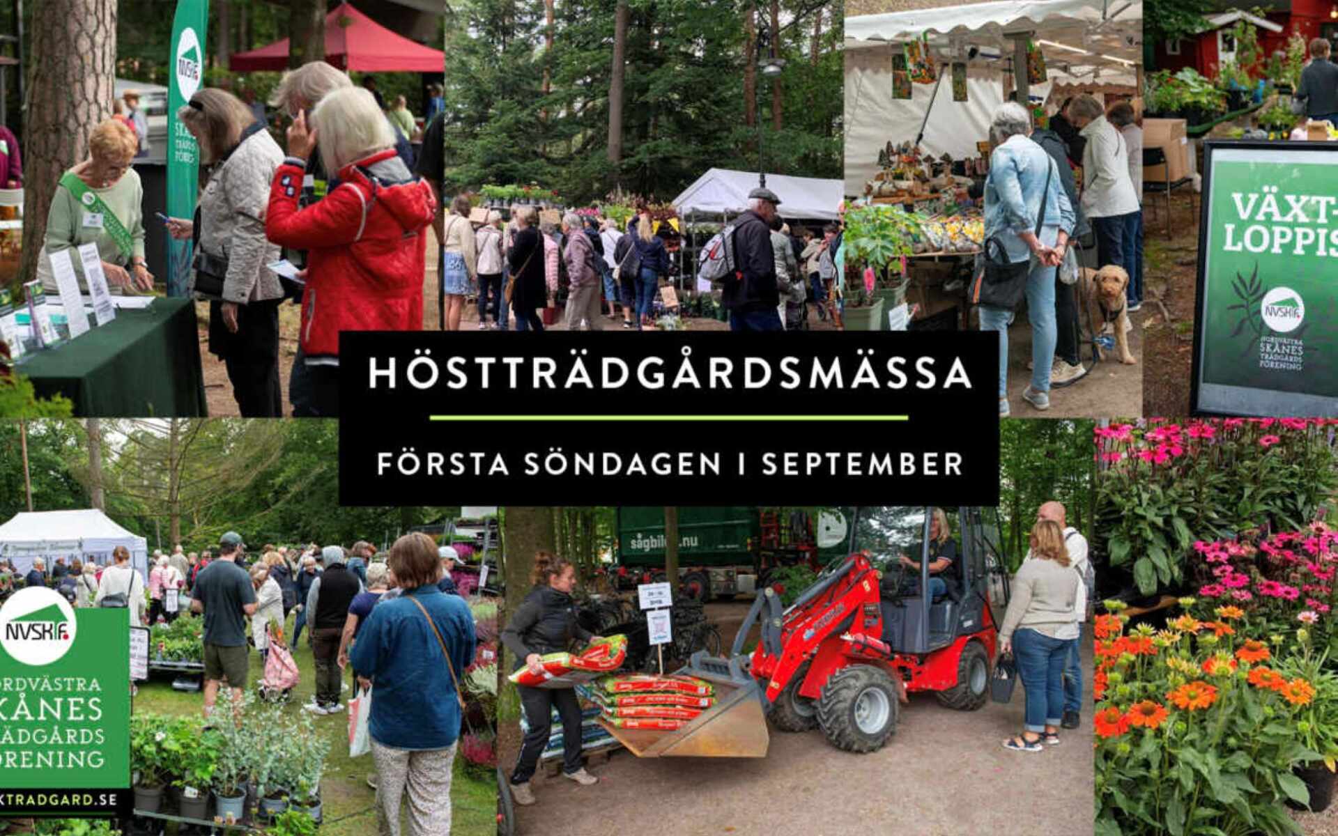 Höstträdgårdsmässa i Hembygdsparken